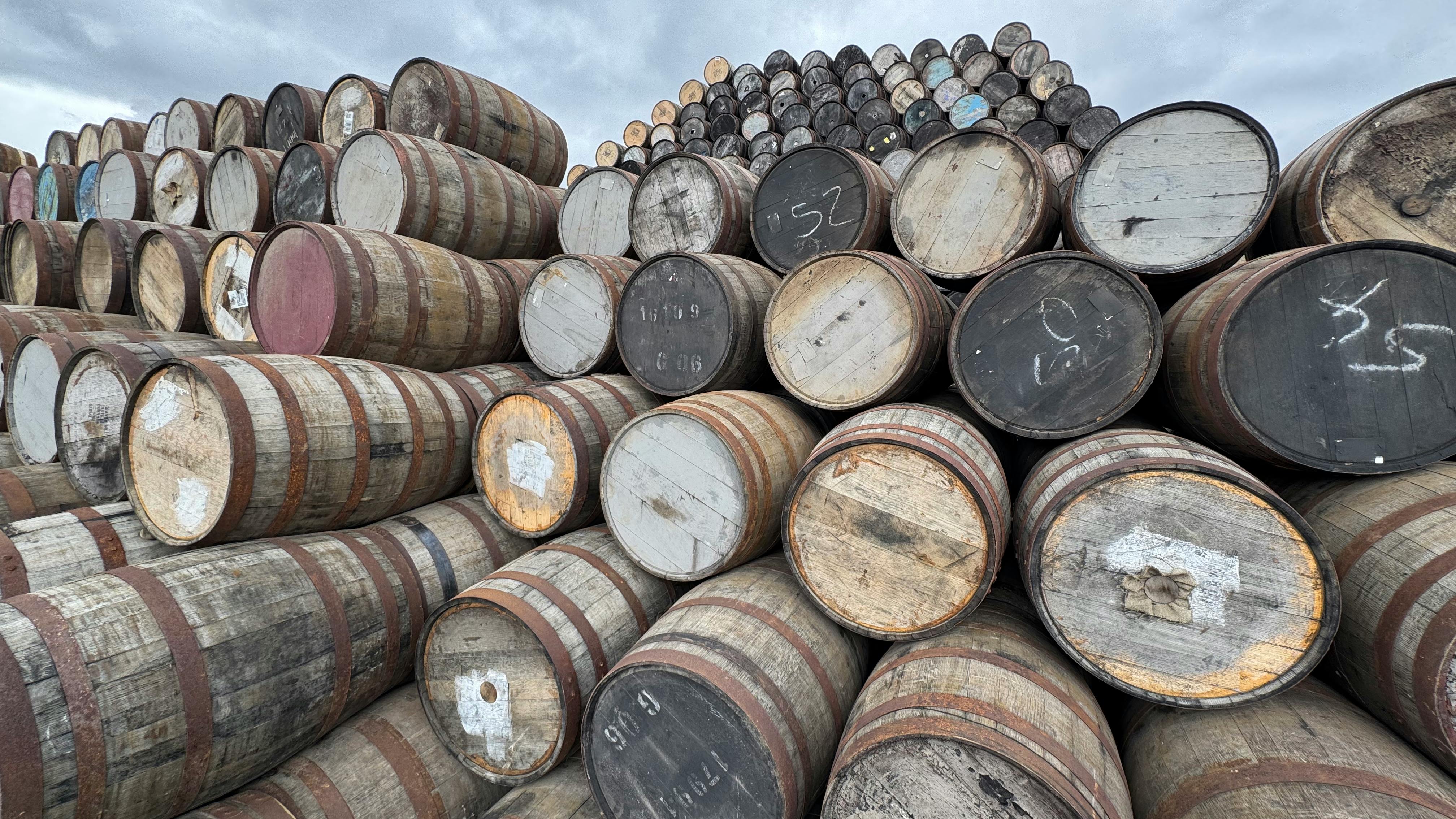 whiskey barrels waiting to be shipped